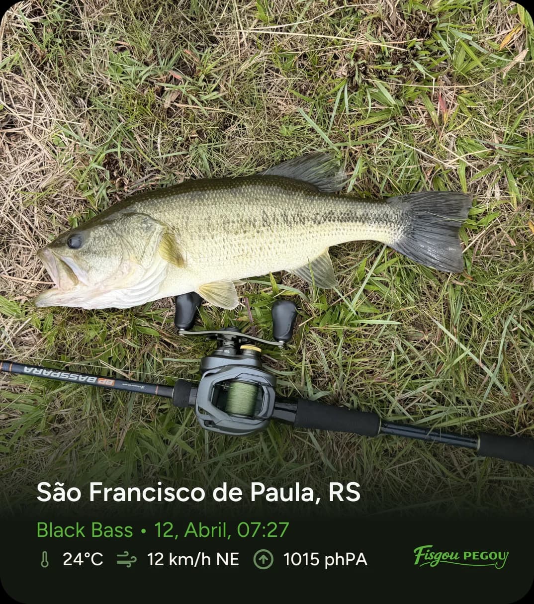 Black Bass capturado em São Francisco de Paula, RS, registrado no app Fisgou Pegou